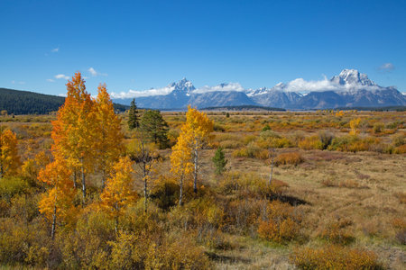 Grand Teton National Park, Wyoming, USAの写真素材