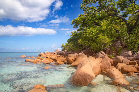 Famous Anse Lazio beach on the Praslin island, Seychellesの写真素材
