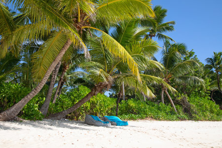 Famous Anse Lazio beach on the Praslin island, Seychellesの写真素材