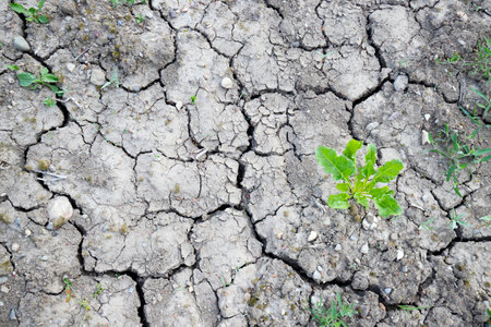 Dry soil during drought in Europe endangers agricultureの写真素材