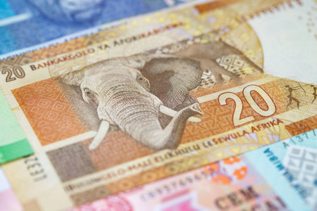 Variety of the African banknotesの写真素材