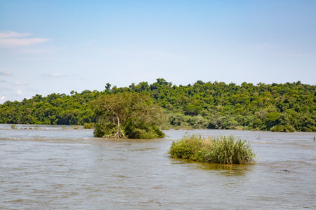 Parana river near Iguazu falls on the border between Argentina and Brazilの写真素材