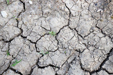 Dry soil during drought in Europe endangers agricultureの写真素材