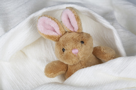 stuffed rabbitの写真素材