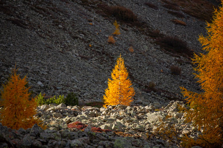 Sunrise and morning in the Albula alp road pass, Engadin Switzerland