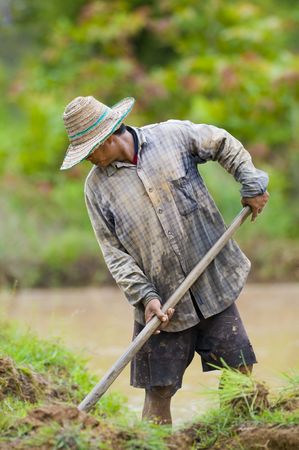 asian male farmer preparing the ground for the growth of riceの写真素材