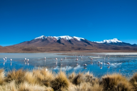Blue Lake in Boliviaの写真素材