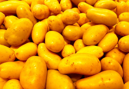 background with lots of potatoes