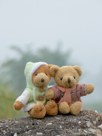 Bear doll in winterの写真素材