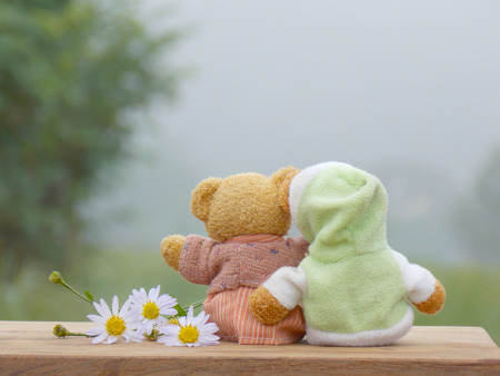 Bear doll in winterの写真素材