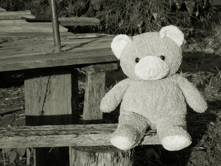 Teddy bear sit aloneの写真素材