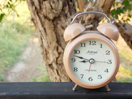 Clock in garden