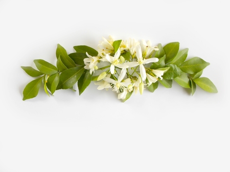 Beautiful white flower bouquet