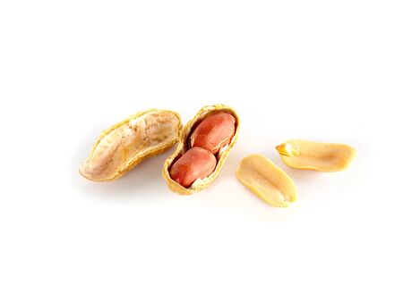 Dried ground nut on white background