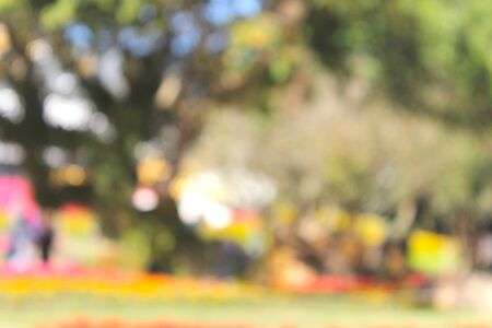 Blurred flower for backgroundの写真素材