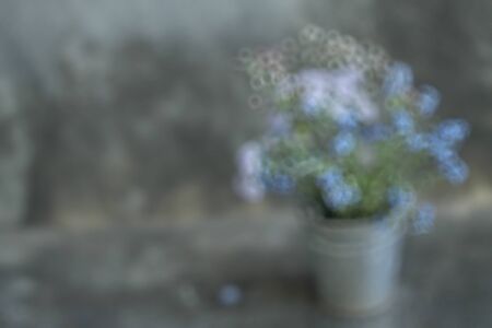 Blurred blue flowerの写真素材