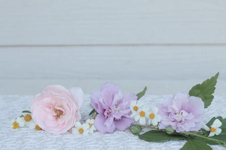 Flower on white background.