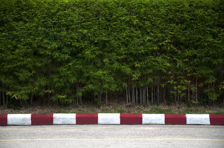 Painting on footpath and the street with red and white color in the cityの写真素材