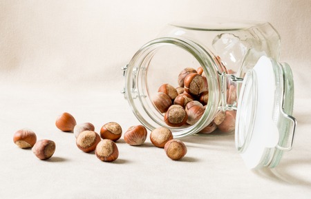 Hazelnuts scattered from the jar. Forest ripples on a light background.