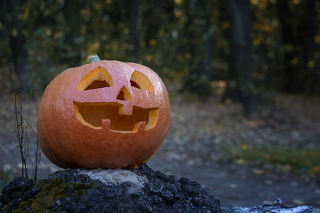 A large pumpkin with a smiling face, the symbol of Halloween. Forest at dusk.の写真素材