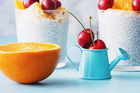 Greek Yogurt Vegan Dessert with Chia Seeds Closeupの写真素材