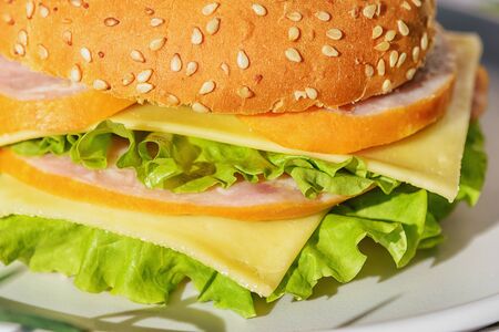 Ham and Cheese Sandwich with Fresh Salad Leafの写真素材