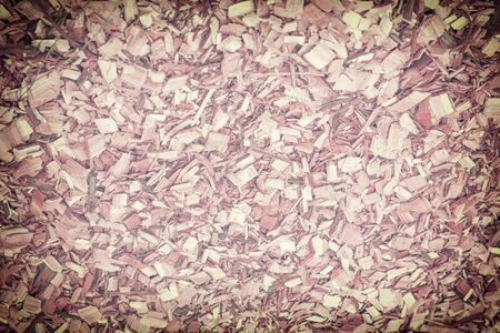 Green Field of Raw Tree Mulch Pieces Photographyの写真素材