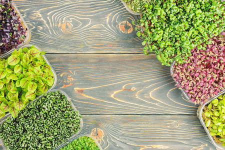 A box with micro green is diagonally arranged on a wooden background. In the center is a place for text. Photo with copy space.の写真素材