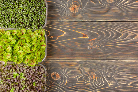 Space for text on a wooden background. Boxes with microgreens on the edgeの写真素材