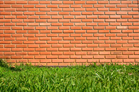 Green grass in front of red brick wall texture background, Thailandの写真素材