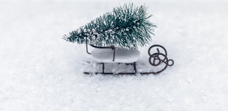 Christmas and New Year miniature christmas tree on sleigh on snow. Copy space for text. Winter greeting card. Holiday and celebration conceptの写真素材