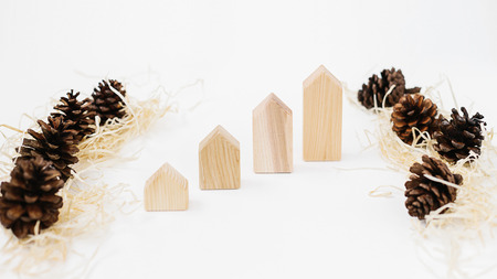 Lined up set of pinecones on wood shavings and wooden blocks house shape. Real estate sale and price...