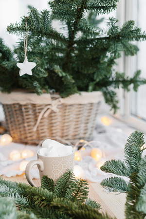 Spruce branches in basket and cup with cacao and marshmallow. Rustic new year christmas decoration at home, scandinavian interiorの写真素材