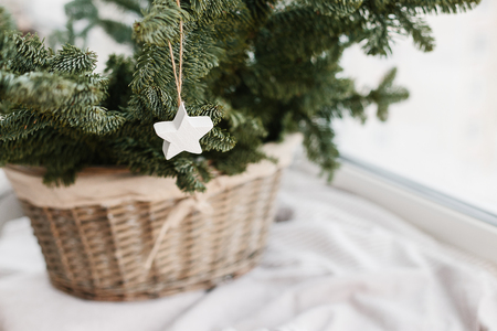 Spruce branches in basket. Rustic new year christmas decoration at home, scandinavian interiorの写真素材