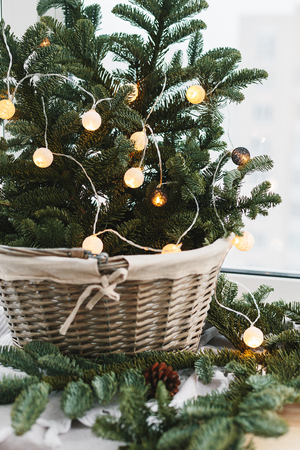 Spruce branches with lights garland in basket. Rustic new year christmas decoration at home, scandinavian interiorの写真素材