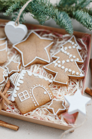 Christmas homemade gingerbread cookies in gift box. Christmas tree decorationの写真素材