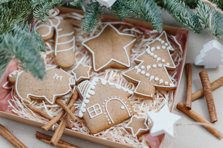 Christmas homemade gingerbread cookies in gift box. Idea for christmas giftの写真素材
