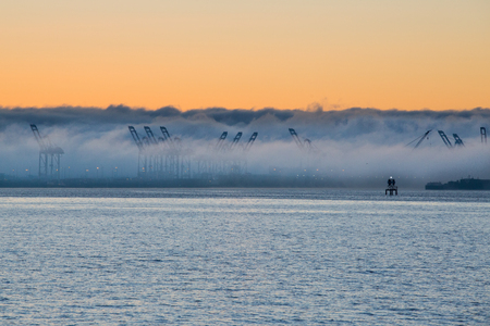 Cargo cranes emerging from the fog at the Port of Seattleの写真素材