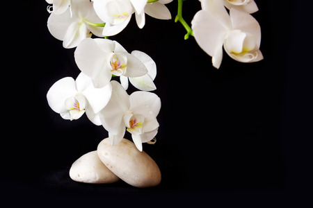 Spa treatment massage stones.の写真素材