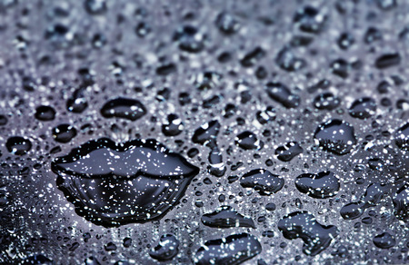 Rain water drops isolated on black backgroundの写真素材
