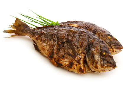 Closeups of two dorada fish with onion isolated on white background
