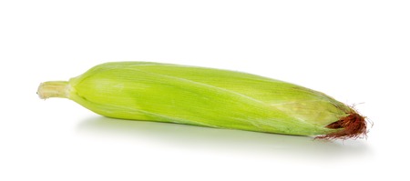Fresh corn, isolated on white background. Corn  isolated on a white background.の写真素材