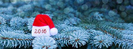 Christmas background.Blue Pine branches and red Santa hat.Winter background.の写真素材