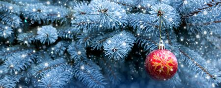 Beautiful Christmas balls on fir branches covered with snow. Christmas Background and snow.の写真素材
