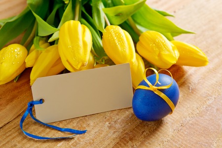 Holiday  card.Bouquet of  tulips on wooden planks with blank card for text.の写真素材