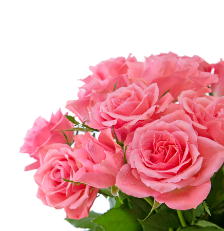 Pink rose  bouquet isolated on white background.の写真素材