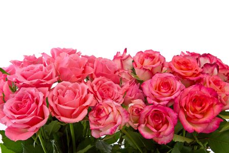 Pink rose  bouquet isolated on white background.Flowers background.Background image of pink rosesの写真素材