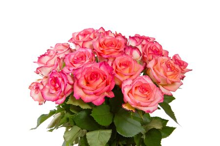 Pink rose  bouquet isolated on white background.の写真素材