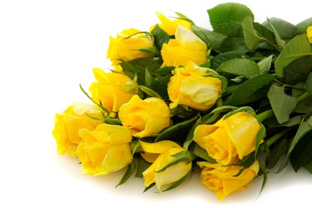 Yellow  rose  bouquet isolated on white background.の写真素材