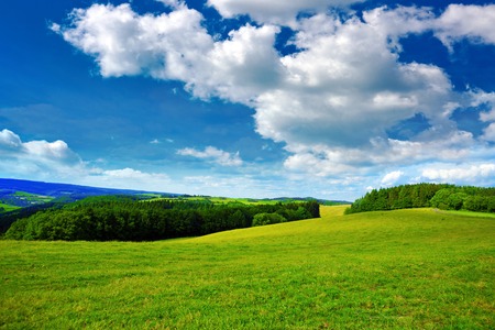 Green field and blue sky with light clouds.Field, trees and blue sky.の写真素材